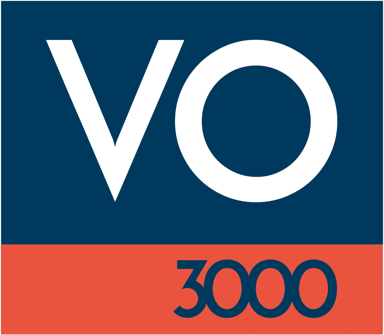VO 3000